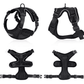 Escapeguard Cat Vest Harness And Car Seat Belt Adapter - Adjustable, Reflective, And Escape - Proof Harness For Cats And Small Dogs - Pets Perfect