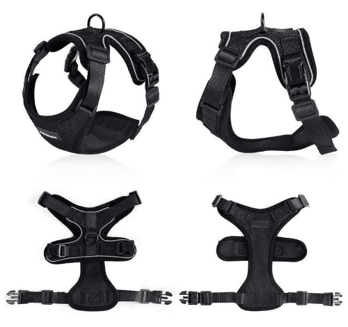 Escapeguard Cat Vest Harness And Car Seat Belt Adapter - Adjustable, Reflective, And Escape - Proof Harness For Cats And Small Dogs - Pets Perfect