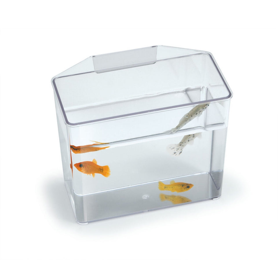 Lee's Aquarium & Pet Products Convalescent Home/Specimen Container Clear, 1ea/SM