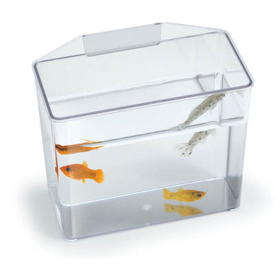 Lee's Aquarium & Pet Products Break Resistant Specimen Container Clear, 1ea/LG