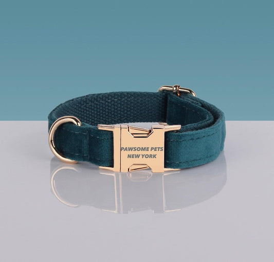 Teal dog collar with gold buckle on a reflective surface and blue background