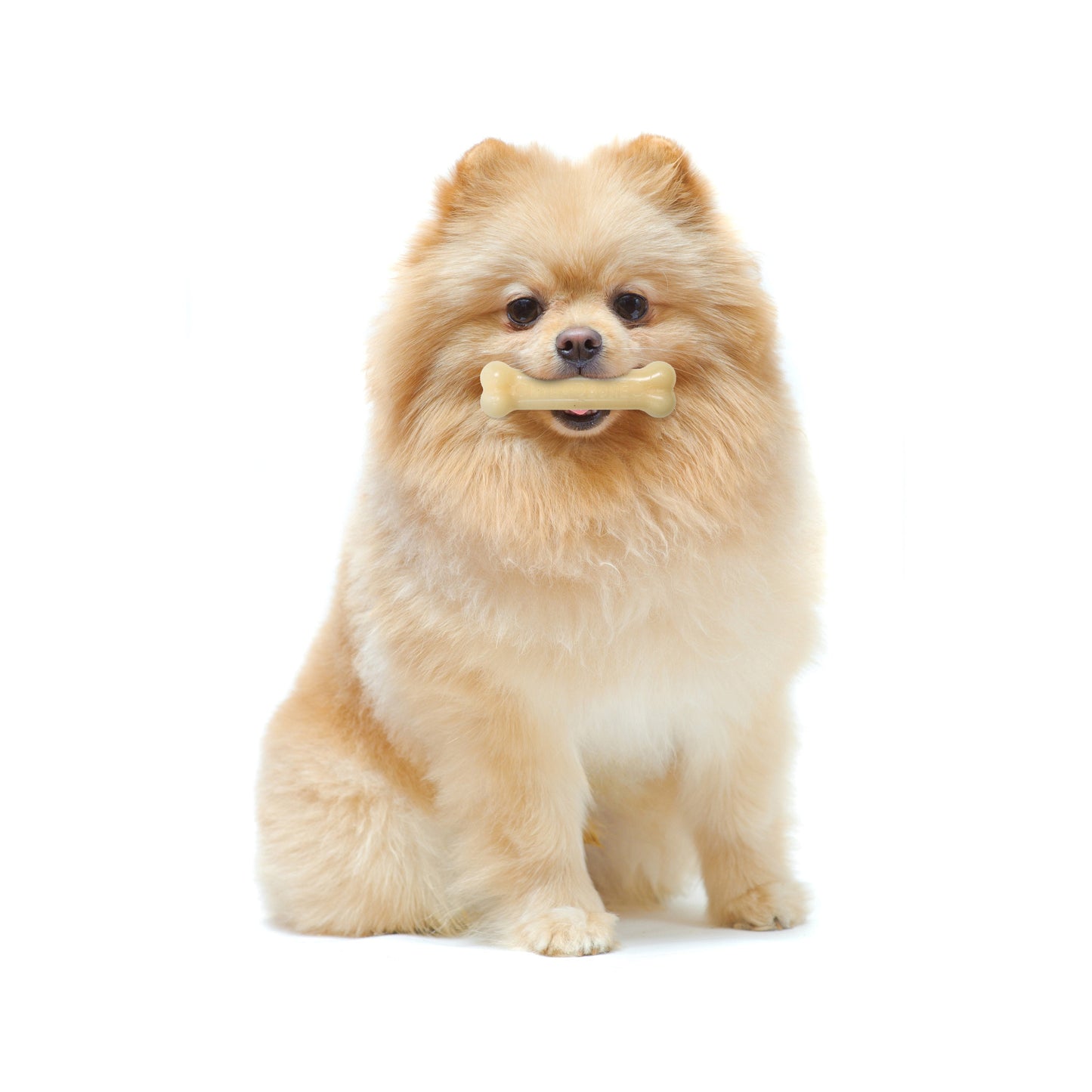 Nylabone Power Chew Dog Toy Original, X-Small/Petite up to, 15 lb 1 ct, view 2