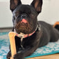 Nylabone Power Chew Dog Toy Original, Small/Regular up to 25 lb. 1 ct, view 3