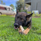 Nylabone Power Chew Dog Toy Original, X-Large/Souper 50 lb. 1 ct, view 3
