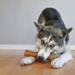 Nylabone Just for Puppies Teething Dog Chew Classic Bone Chicken, view 2