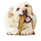 Nylabone Healthy Edibles All-Natural Long Lasting Dog Chew Treats 1 ct, view 4