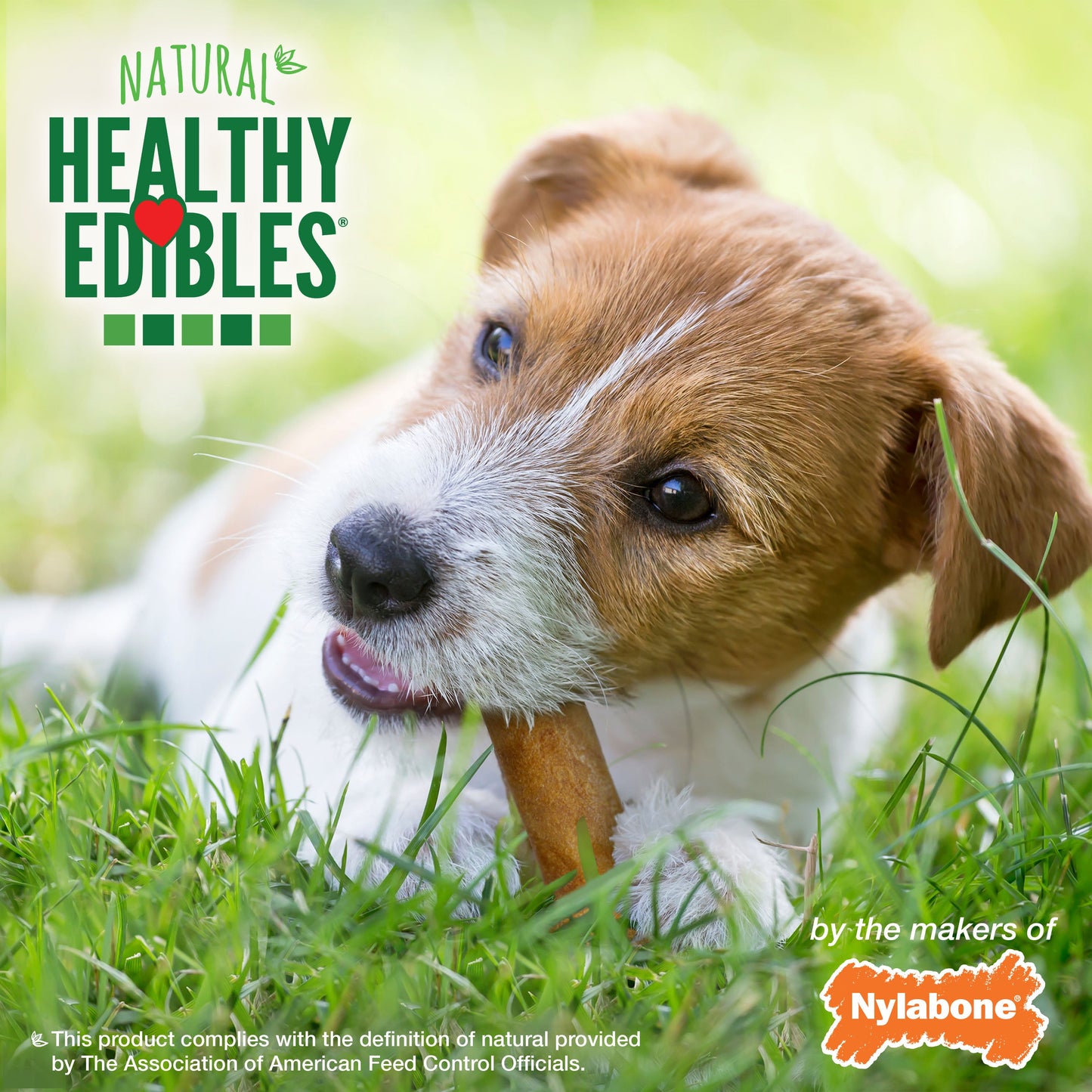 Nylabone Healthy Edibles All-Natural Long Lasting Dog Chew Treats, view 4
