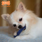 Nylabone Moderate Chew Textured Dog Dental Chew Dog Toy Chicken, Blue, view 2