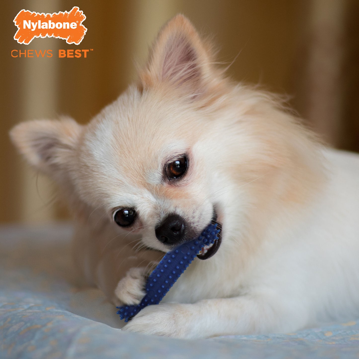 Nylabone Moderate Chew Textured Dog Dental Chew Dog Toy Chicken, Blue, view 2