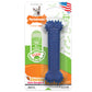 Nylabone Moderate Chew Textured Dog Dental Chew Dog Toy Chicken, Blue