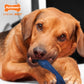 Nylabone Moderate Chew Textured Dog Dental Chew Dog Toy Chicken, Blue, view 2