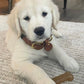 Nylabone Puppy Starter Kit Dog Chew Toys Dog Treat Chicken Bacon, view 8