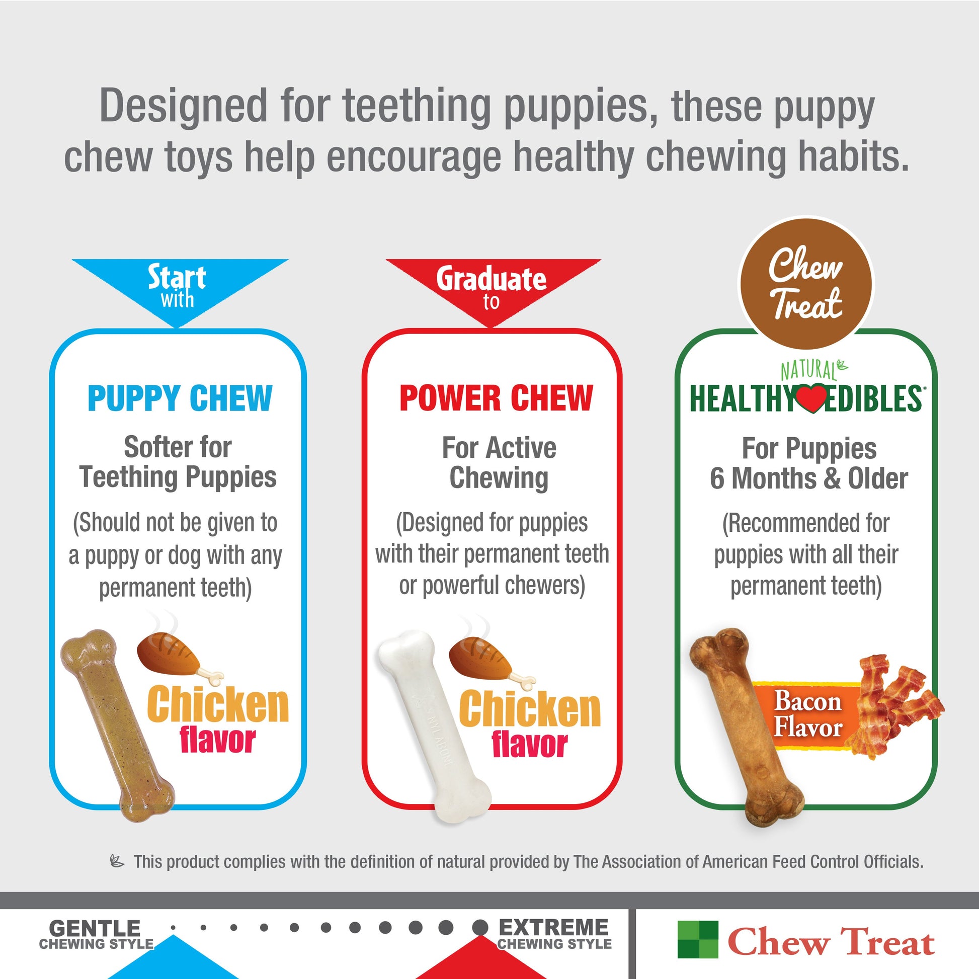 Nylabone Puppy Starter Kit Dog Chew Toys Dog Treat Chicken Bacon, view 10