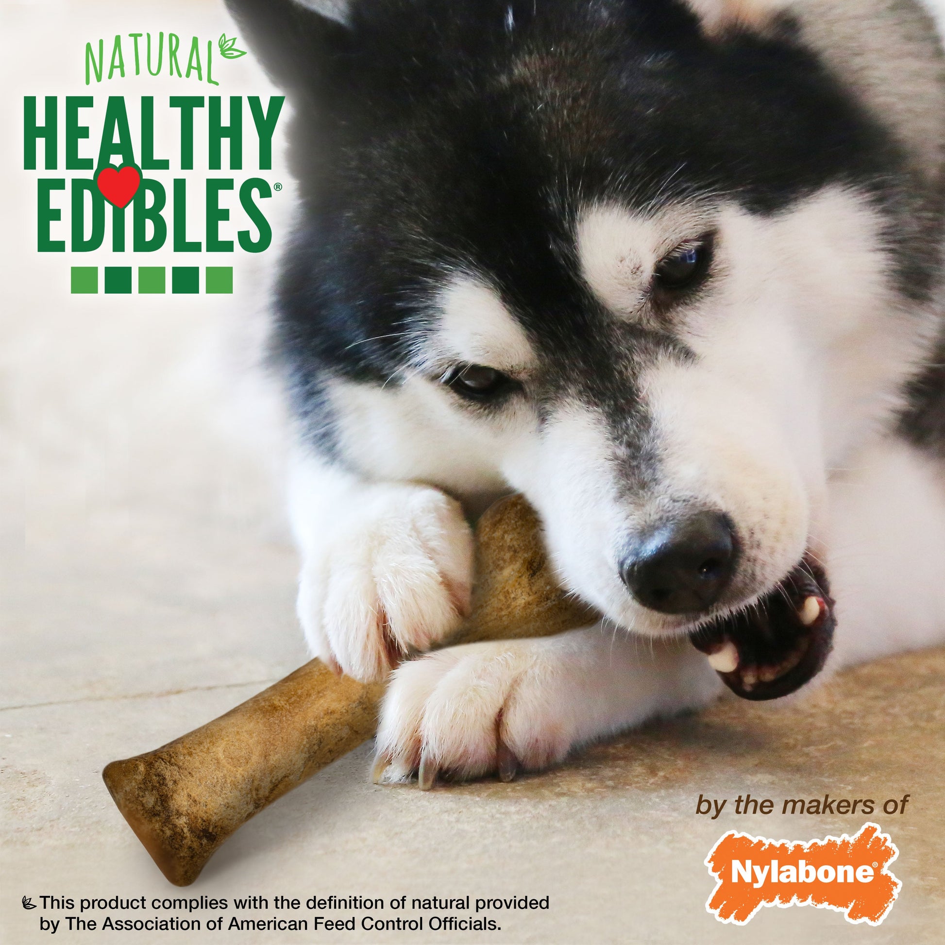 Nylabone Healthy Edibles All-Natural Long Lasting Dog Chew Treats, view 5