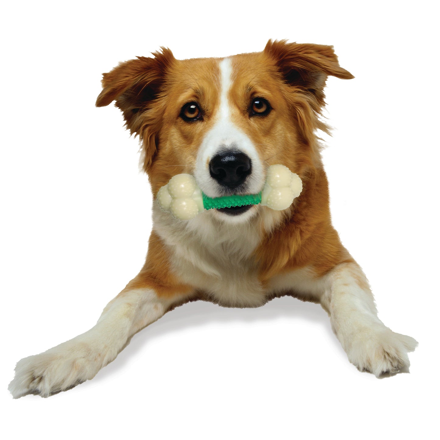 Nylabone Power Chew Double Action Durable Dog Toy Bacon, view 3