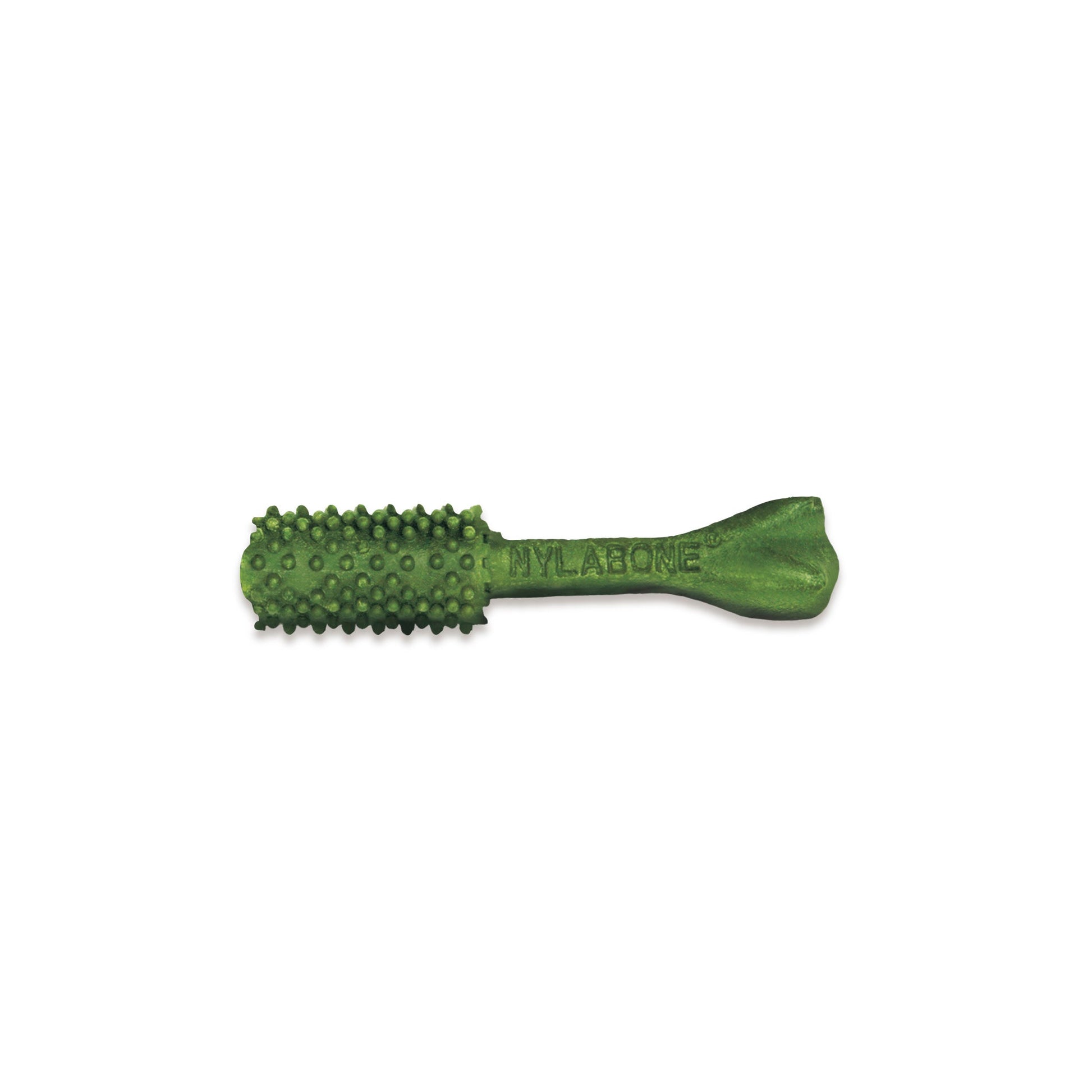 Nylabone Nutri Dent SIMPLE Natural Dental Fresh Breath Flavored Dog, view 3