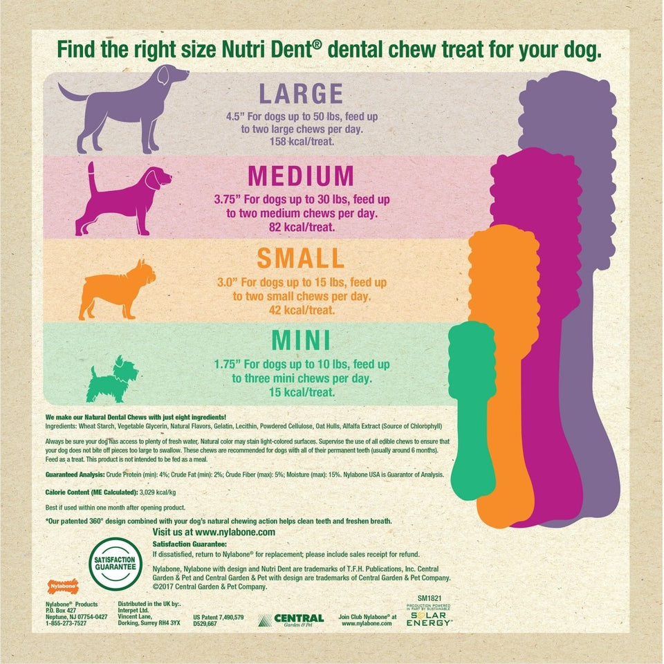 Nylabone Nutri Dent SIMPLE Natural Dental Fresh Breath Flavored Dog Chew Treats Medium, 8 ct - Pets Perfect