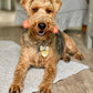 Nylabone Power Chew Dog Toy Bacon, Small/Regular up to 25 lb. 1 ct, view 3