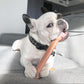 Nylabone Power Chew Dog Toy Bacon, Large/Giant up to, 50 lb 1 ct, view 3