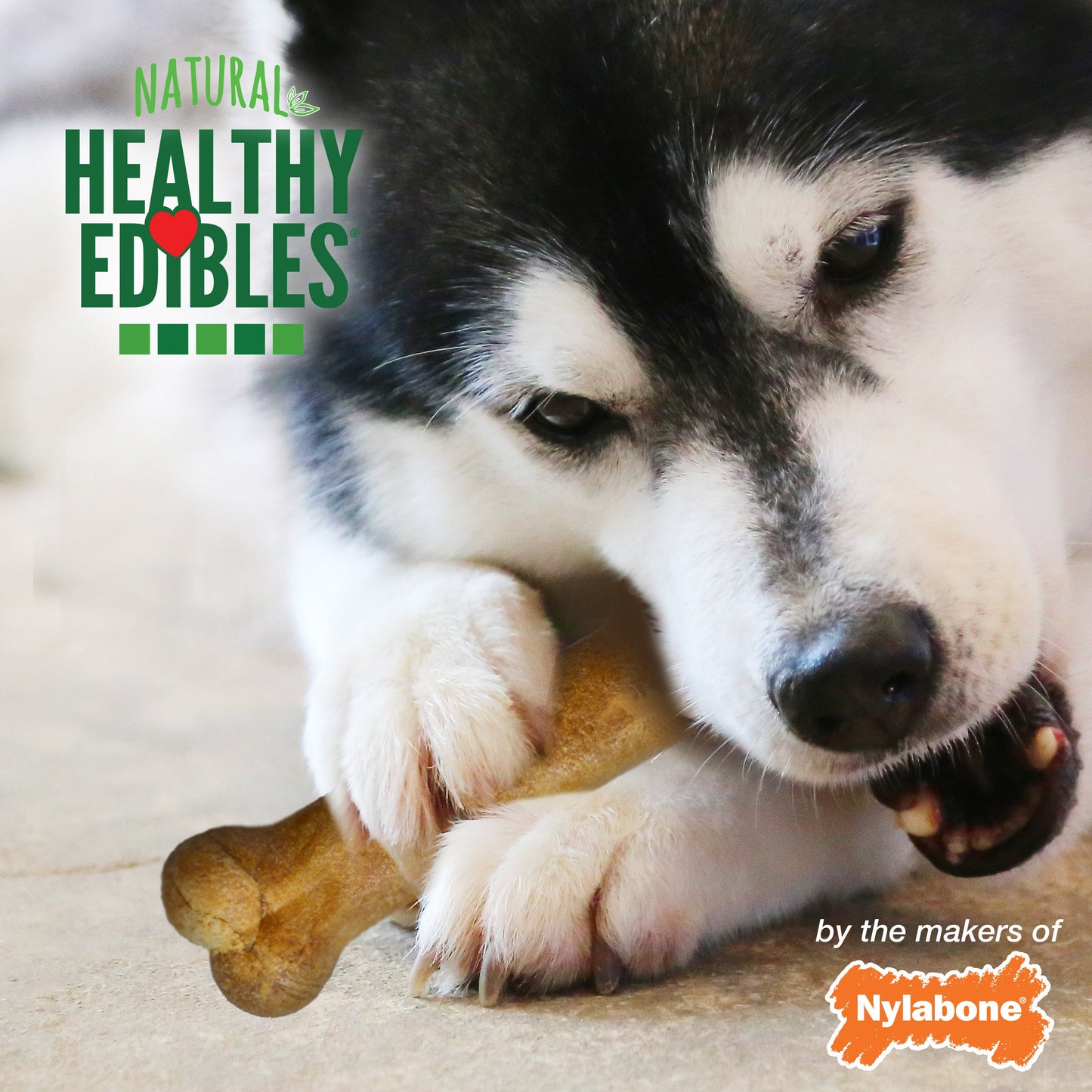 Nylabone Healthy Edibles All-Natural Long Lasting Dog Chew Treats 2 ct, view 4