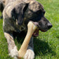 Nylabone Power Chew Monster Bone Big Dog Chew Toy Chicken, view 2