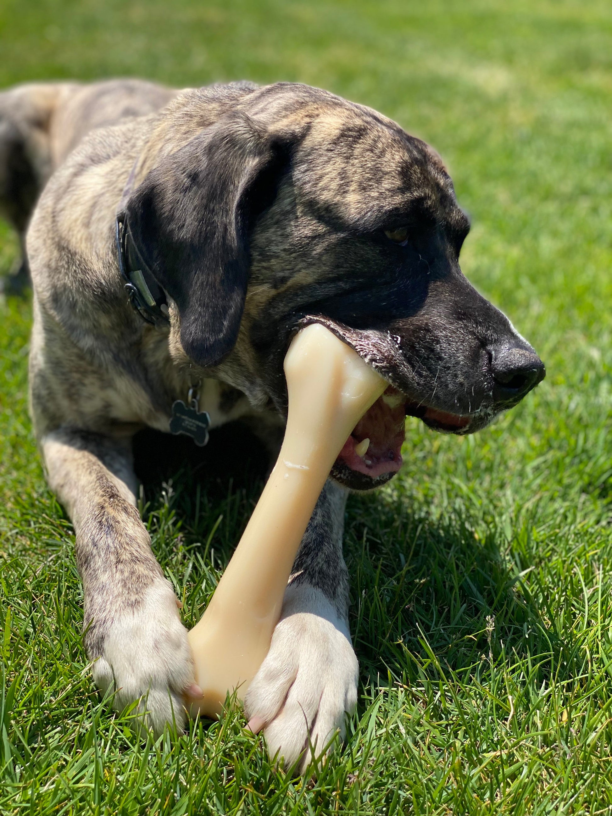 Nylabone Power Chew Monster Bone Big Dog Chew Toy Chicken, view 2