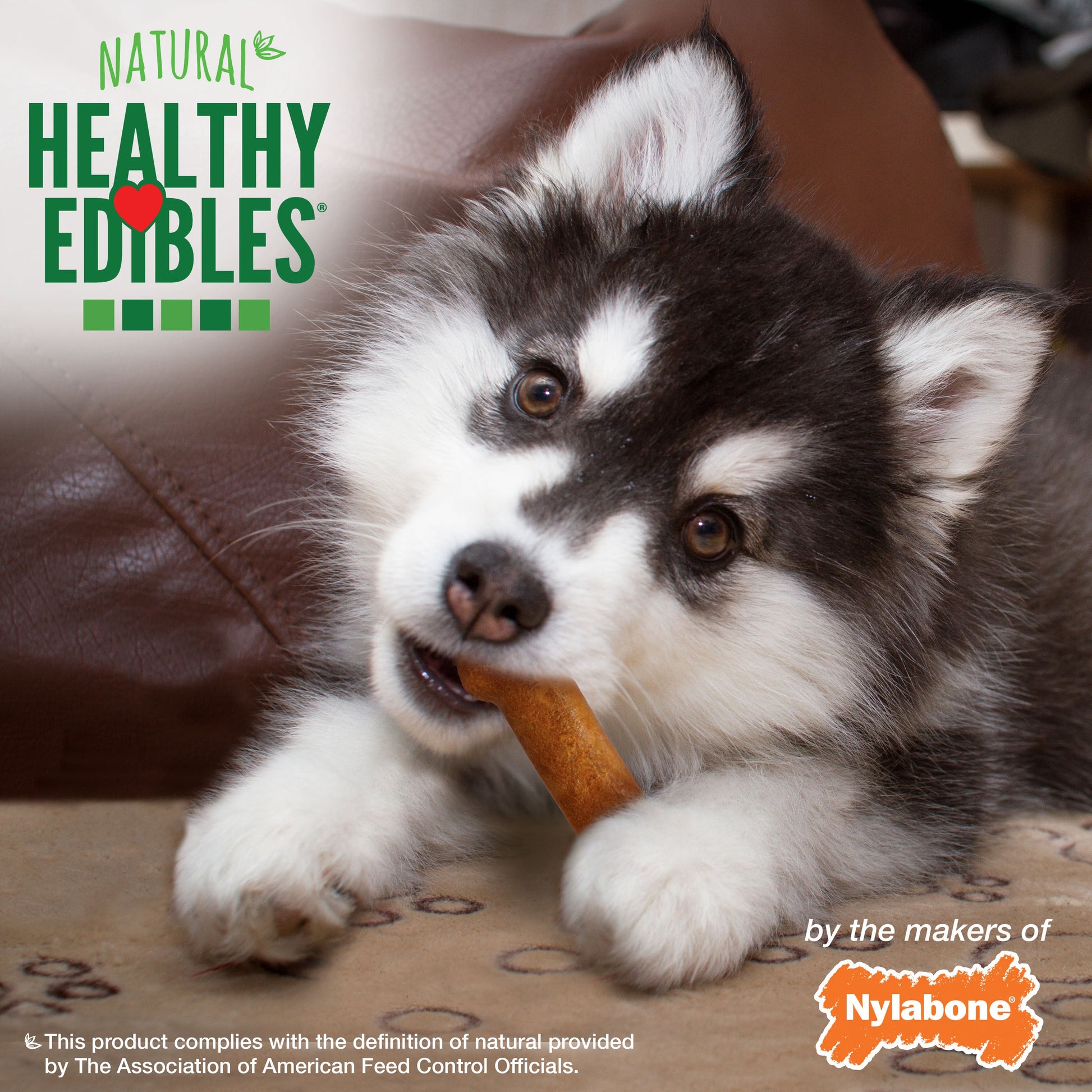 Nylabone Healthy Edibles All-Natural Long Lasting Puppy Dog Chew, view 5