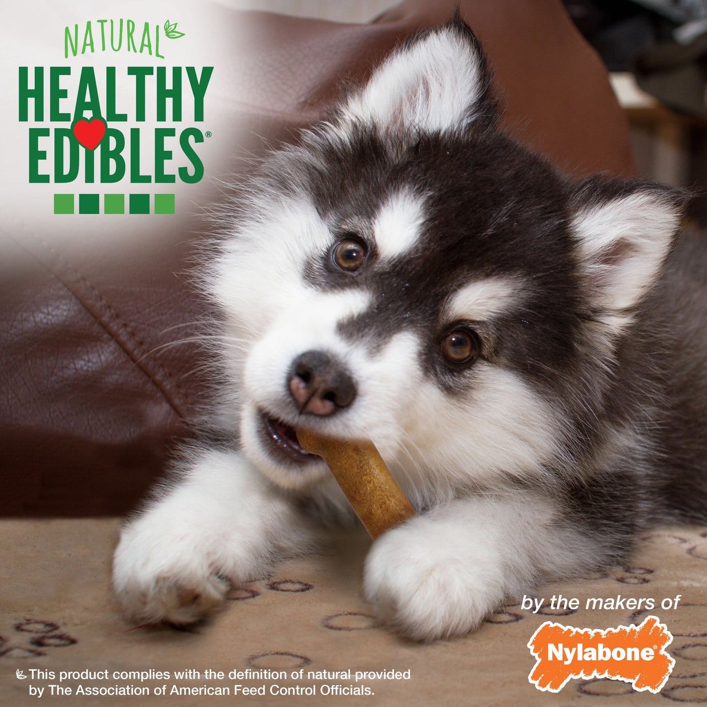 Nylabone Healthy Edibles All-Natural Long Lasting Puppy Dog Chew, view 5