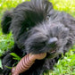 Nylabone Flavor Frenzy Power Chew Durable Dog Chew Toy Flavor Medley, view 2