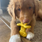 Nylabone Puppy Rubber Teethers Vanilla, view 2