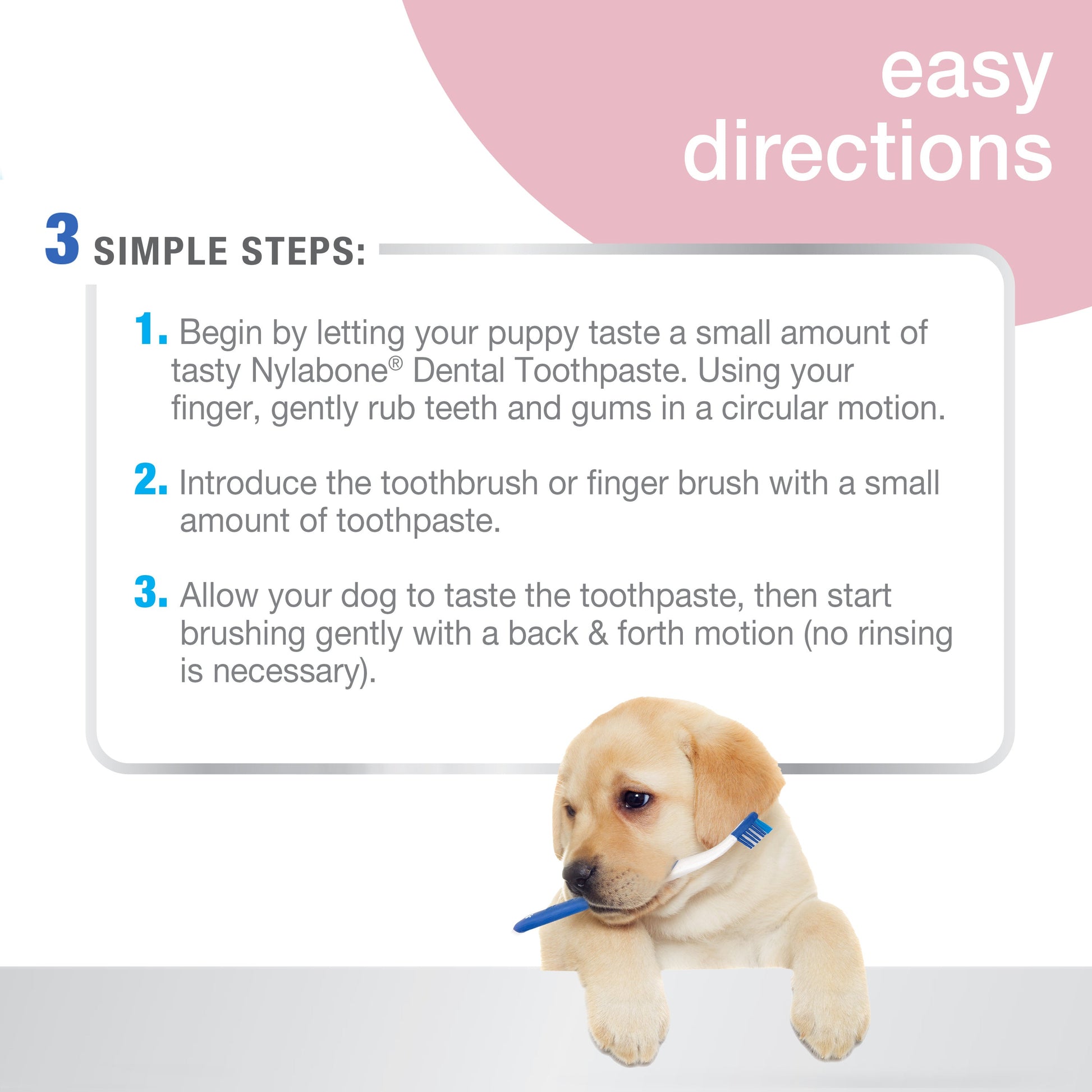 Nylabone Advanced Oral Care Puppy Dental Kit Original, 2.5 oz, 3 ct, view 3