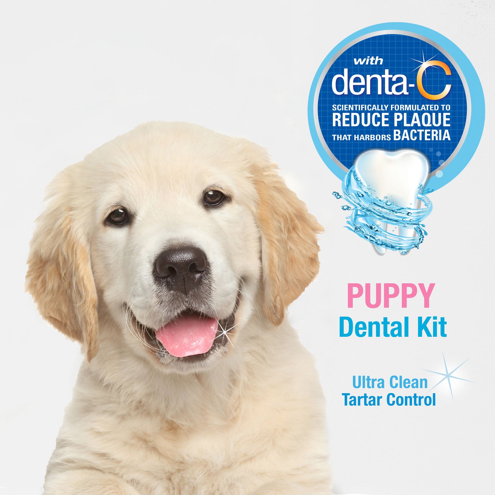 Nylabone Advanced Oral Care Puppy Dental Kit Original, 2.5 oz, 3 ct, view 4