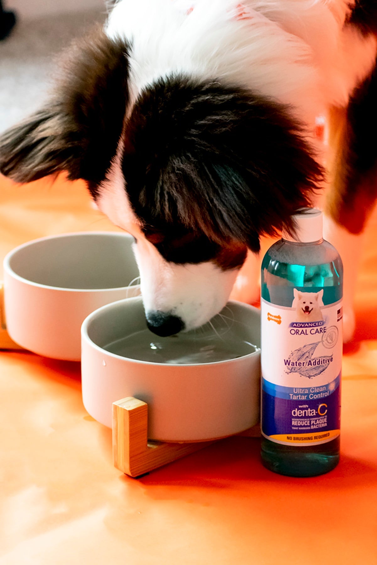 Nylabone Advanced Oral Care Water Additive for Dogs Original, view 2