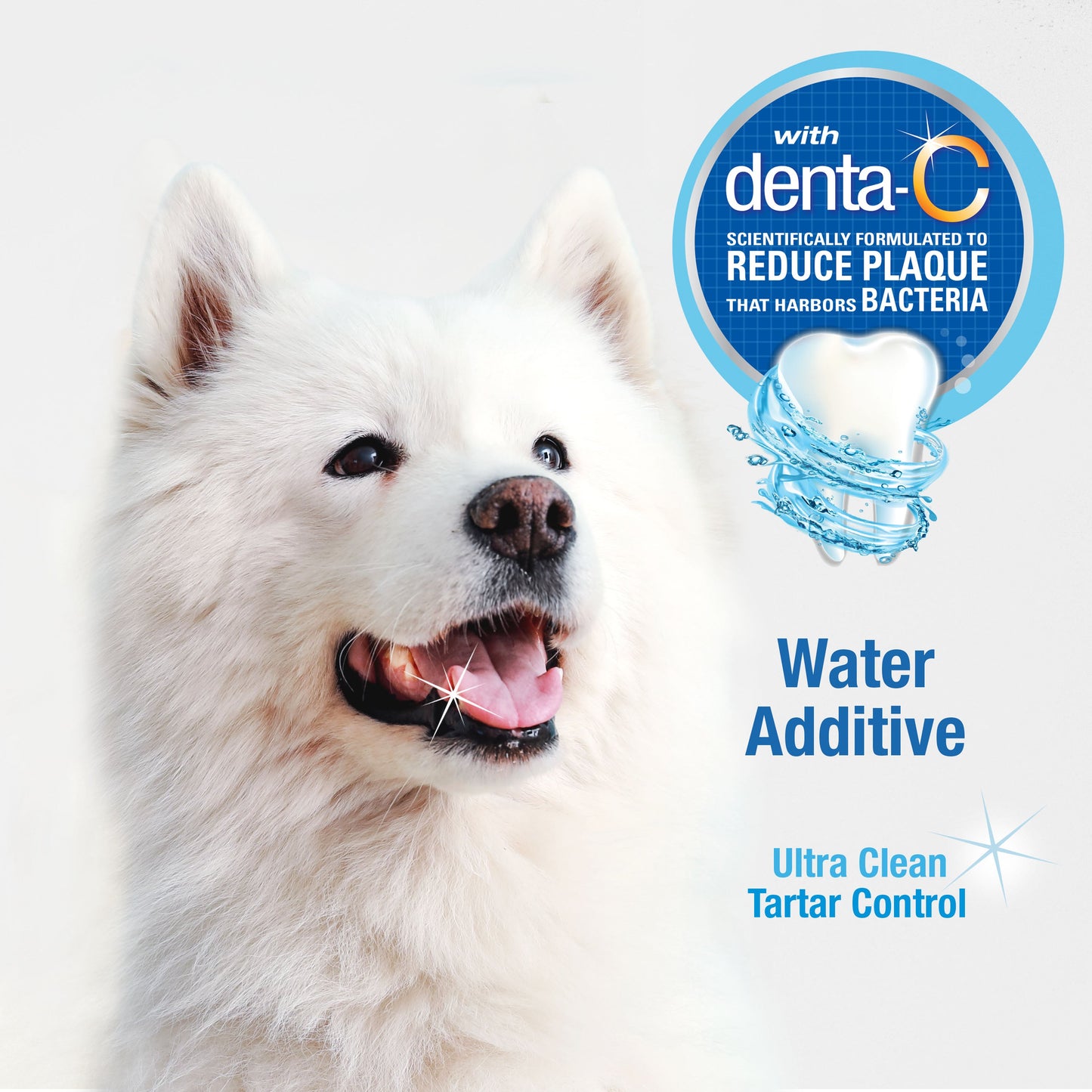 Nylabone Advanced Oral Care Water Additive for Dogs Original, view 5
