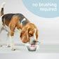 Nylabone Advanced Oral Care Water Additive for Dogs Original, view 6