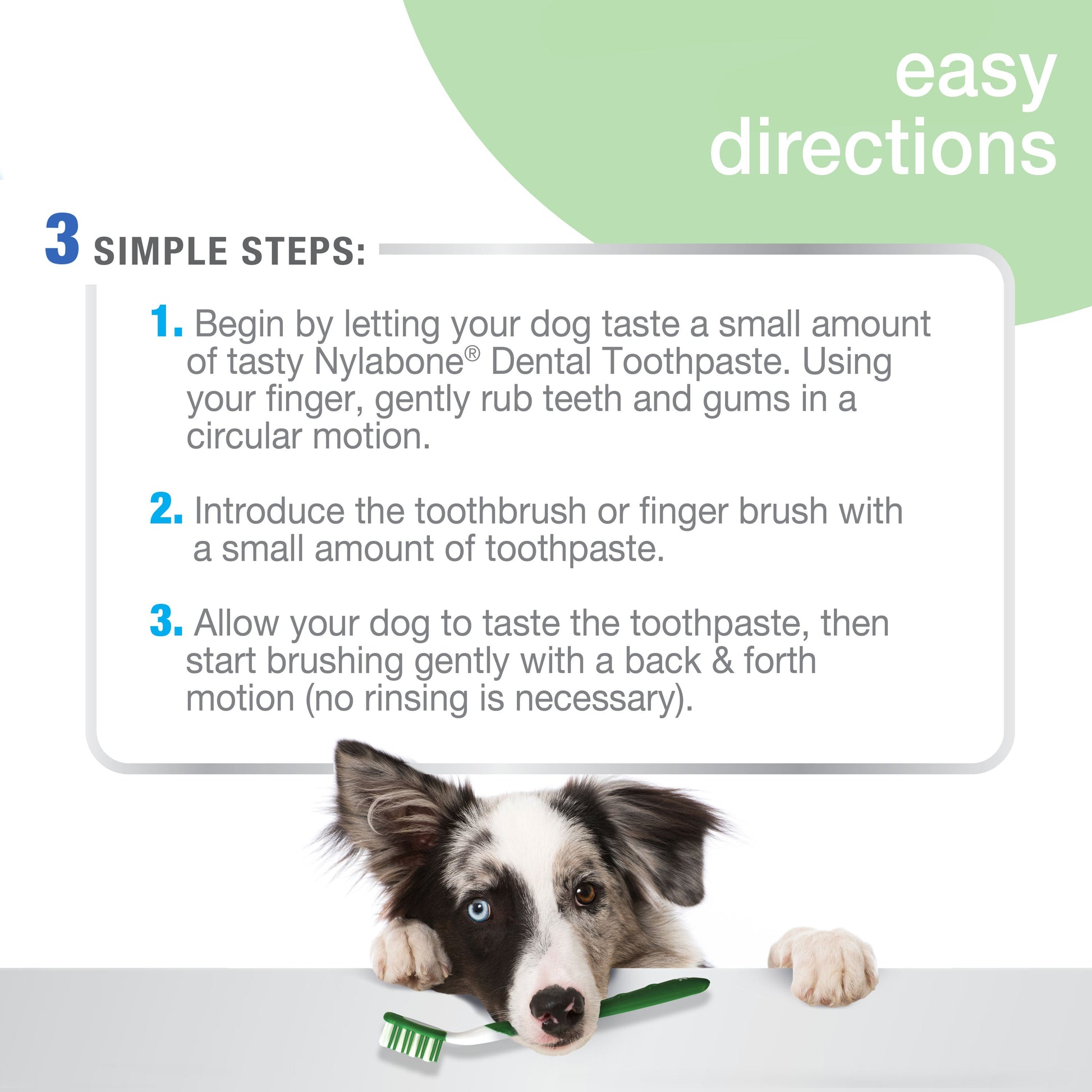 Nylabone Advanced Oral Care Natural Dog Dental Kit Peanut Butter, 3 ct, view 3