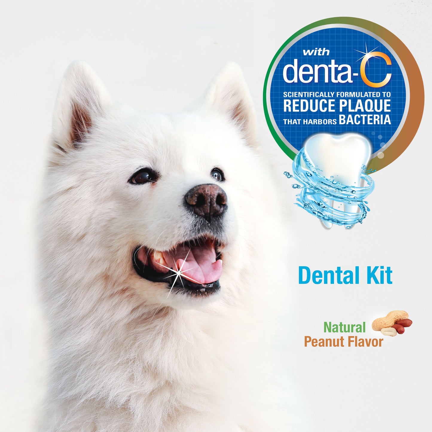 Nylabone Advanced Oral Care Natural Dog Dental Kit Peanut Butter, 3 ct, view 4