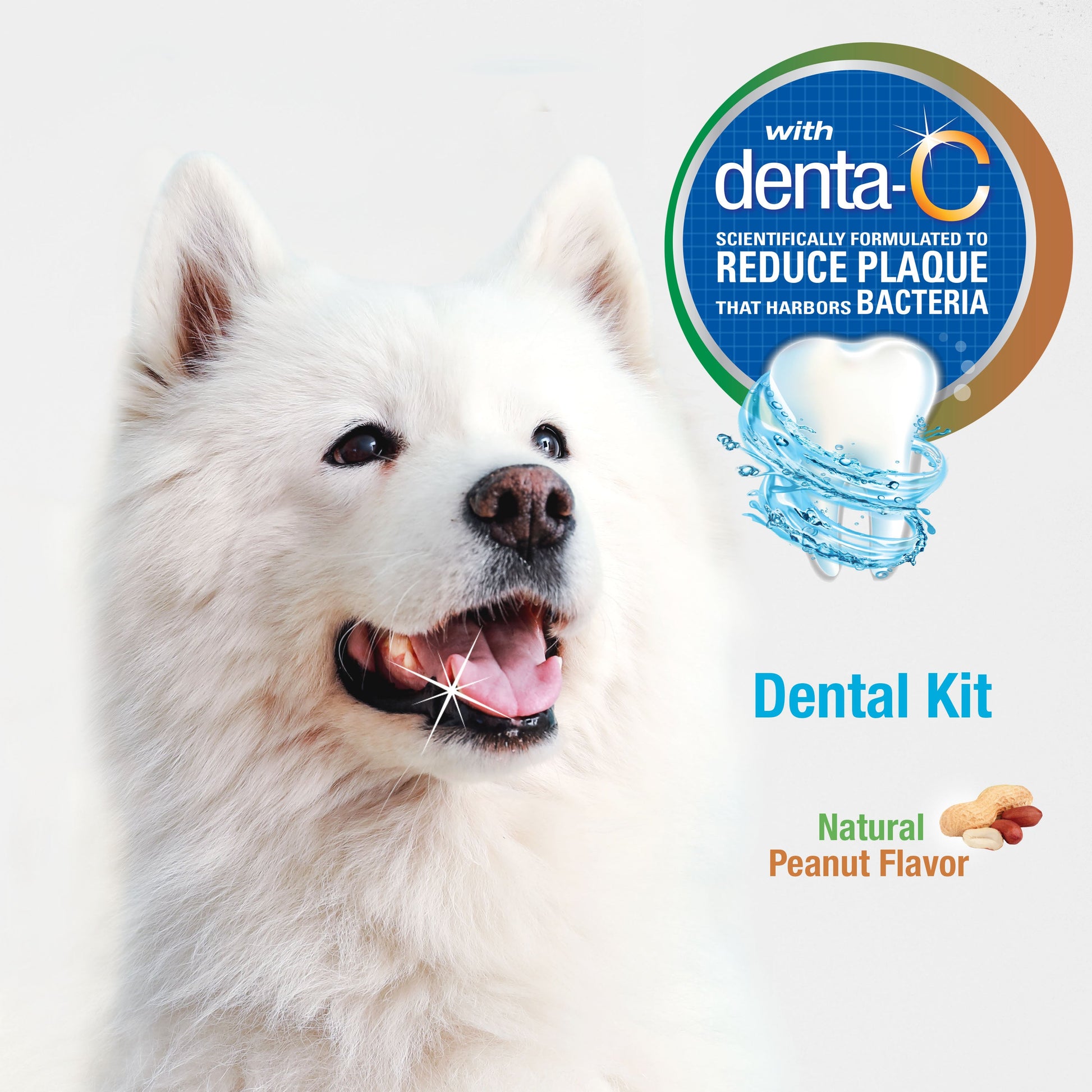 Nylabone Advanced Oral Care Natural Dog Dental Kit Peanut Butter, 3 ct, view 4
