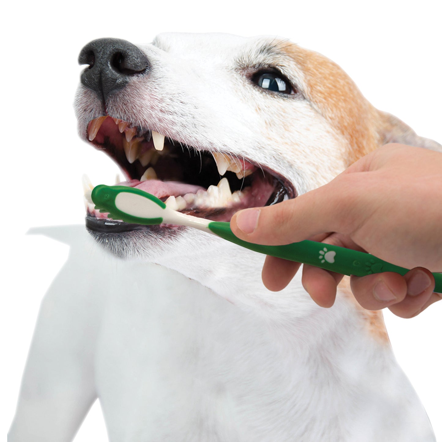 Nylabone Advanced Oral Care Natural Dog Dental Kit Peanut Butter, 3 ct, view 10