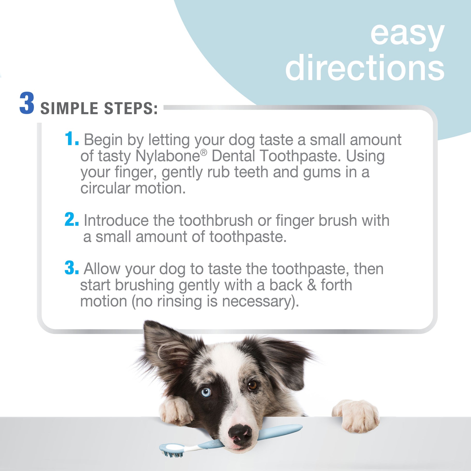 Nylabone Advanced Oral Care Dog Dental Kit Original, 2.5 oz, 3 ct, view 4