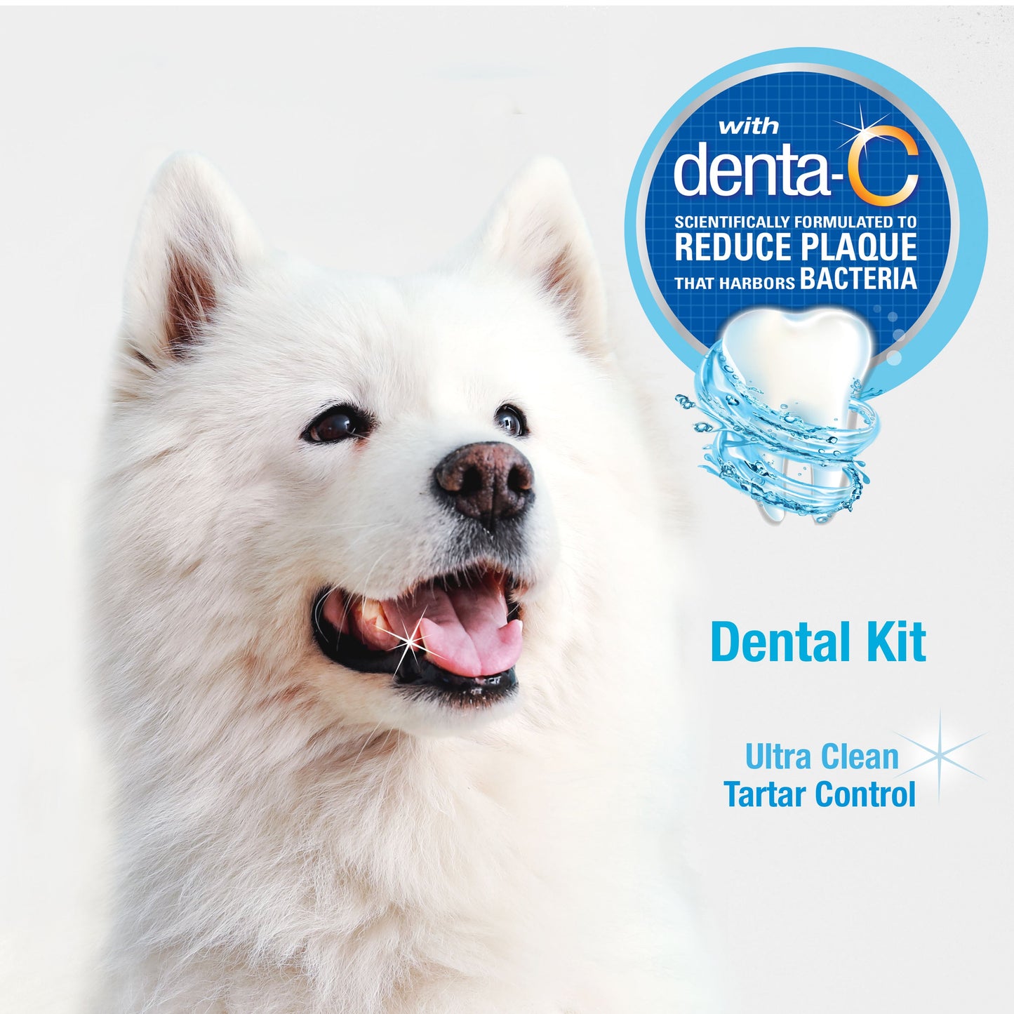 Nylabone Advanced Oral Care Dog Dental Kit Original, 2.5 oz, 3 ct, view 5