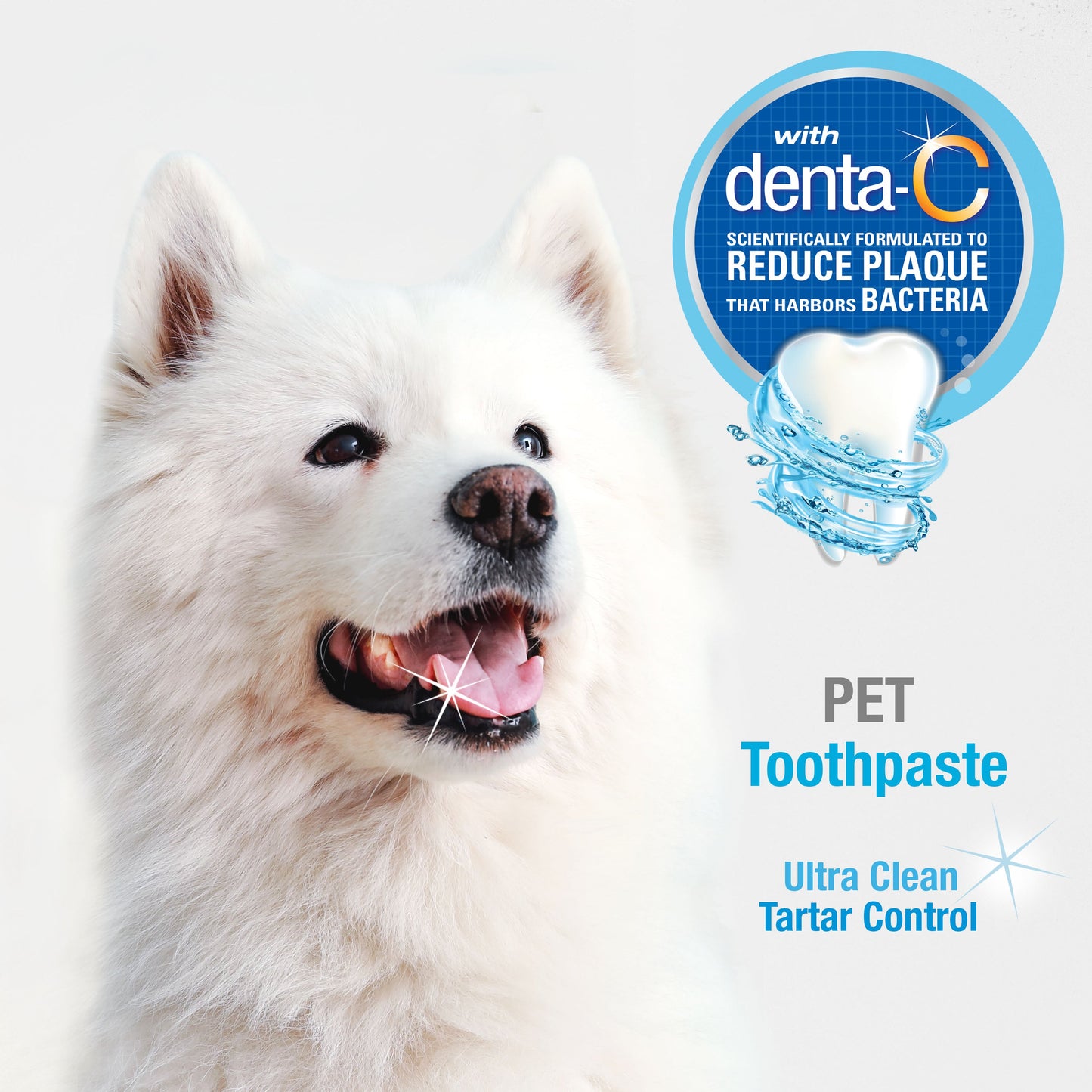 Nylabone Advanced Oral Care Tartar Control Dog Toothpaste Original, view 4