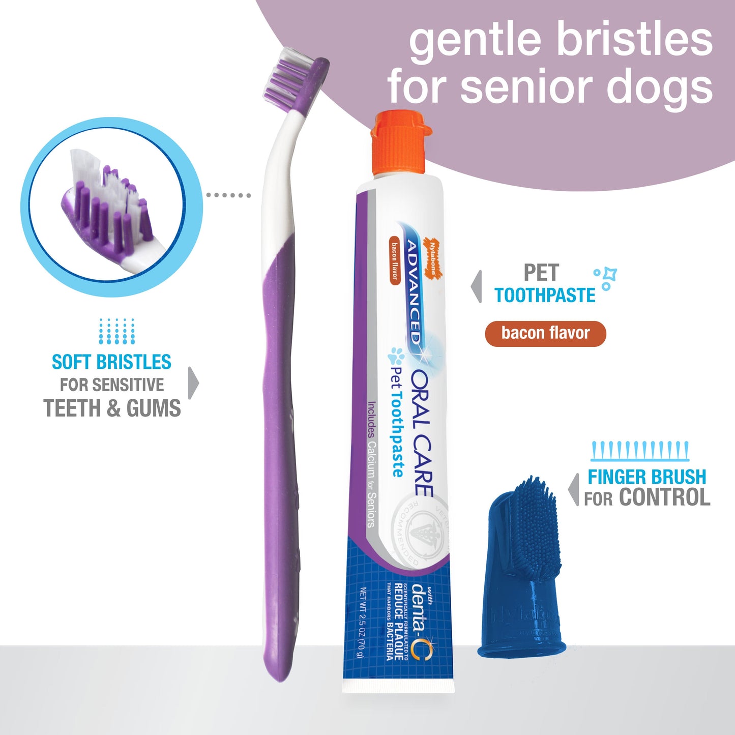 Nylabone Advanced Oral Care Senior Dog Dental Kit Bacon, 3 ct, view 2