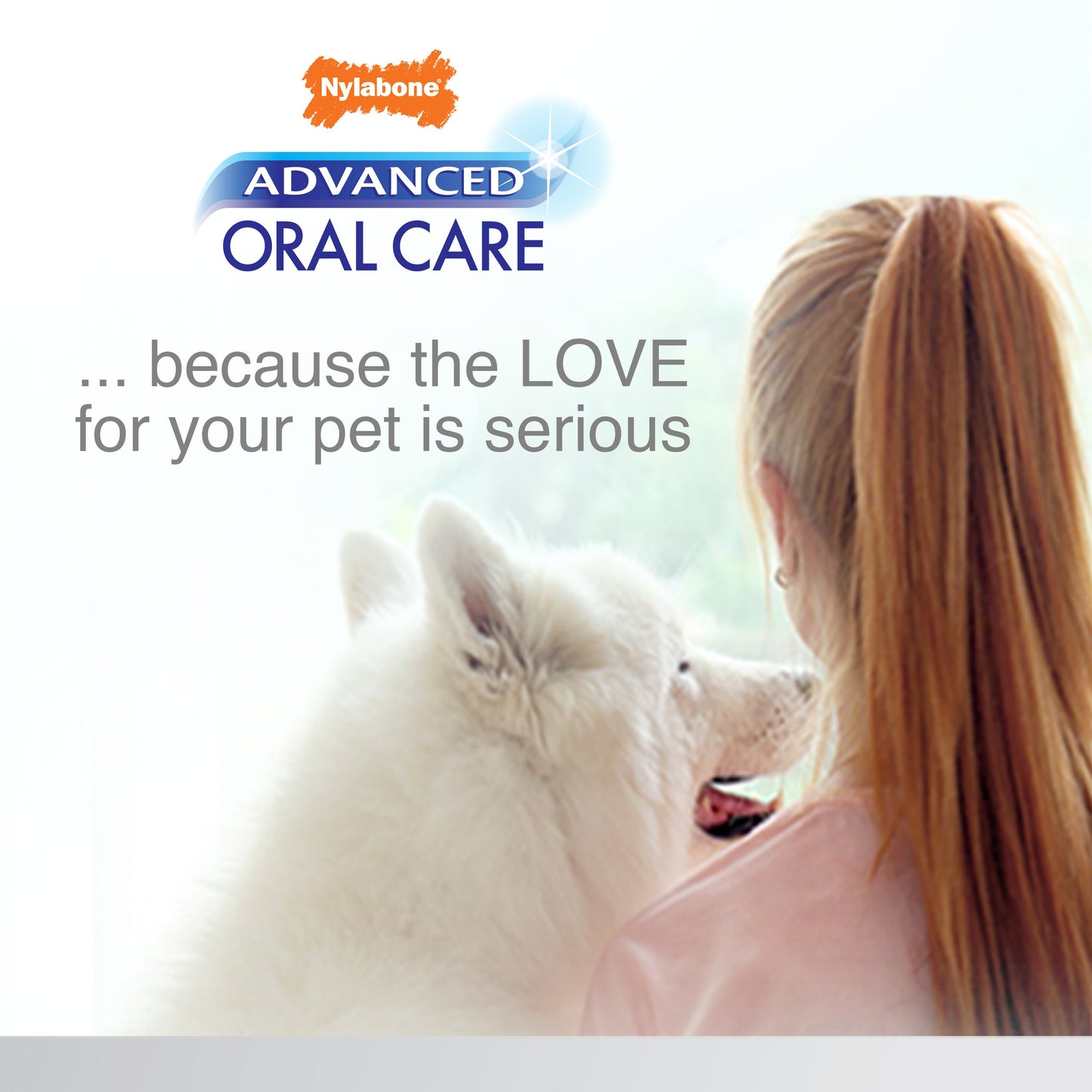 Nylabone Advanced Oral Care Senior Dog Dental Kit Bacon, 3 ct, view 8