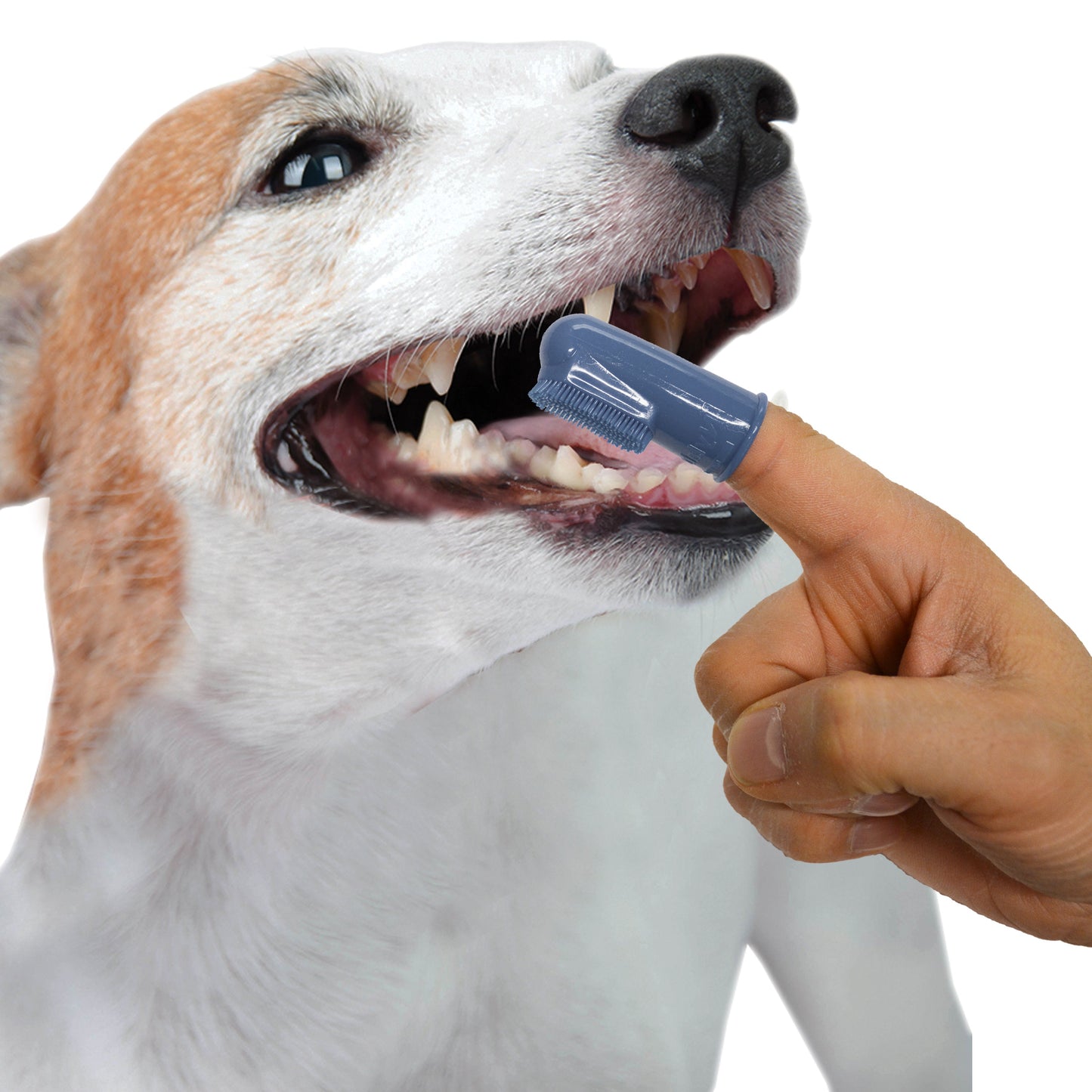 Nylabone Advanced Oral Care Finger Brush 2 ct, 2 ct, view 4