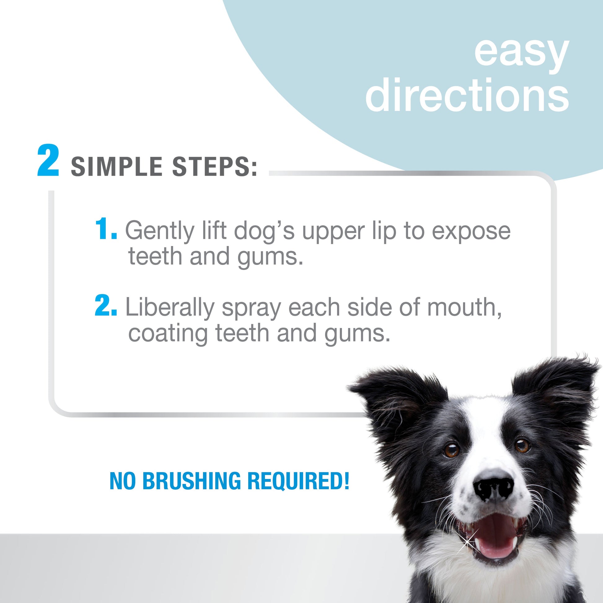 Nylabone Advanced Oral Care Dental Spray Fresh Breath, 4 oz, 1 ct, view 2