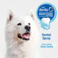Nylabone Advanced Oral Care Dental Spray Fresh Breath, 4 oz, 1 ct, view 3