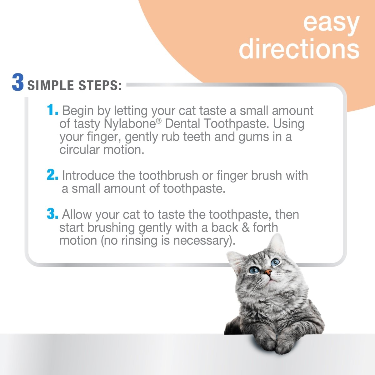 Nylabone Advanced Oral Care Cat Dental Kit Original, 1ea/2.5 oz 3 ct - Pets Perfect