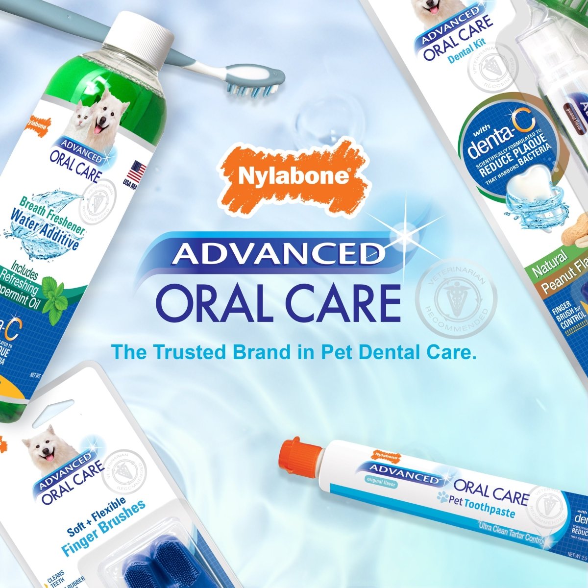 Nylabone Advanced Oral Care Cat Dental Kit Original, 1ea/2.5 oz 3 ct - Pets Perfect