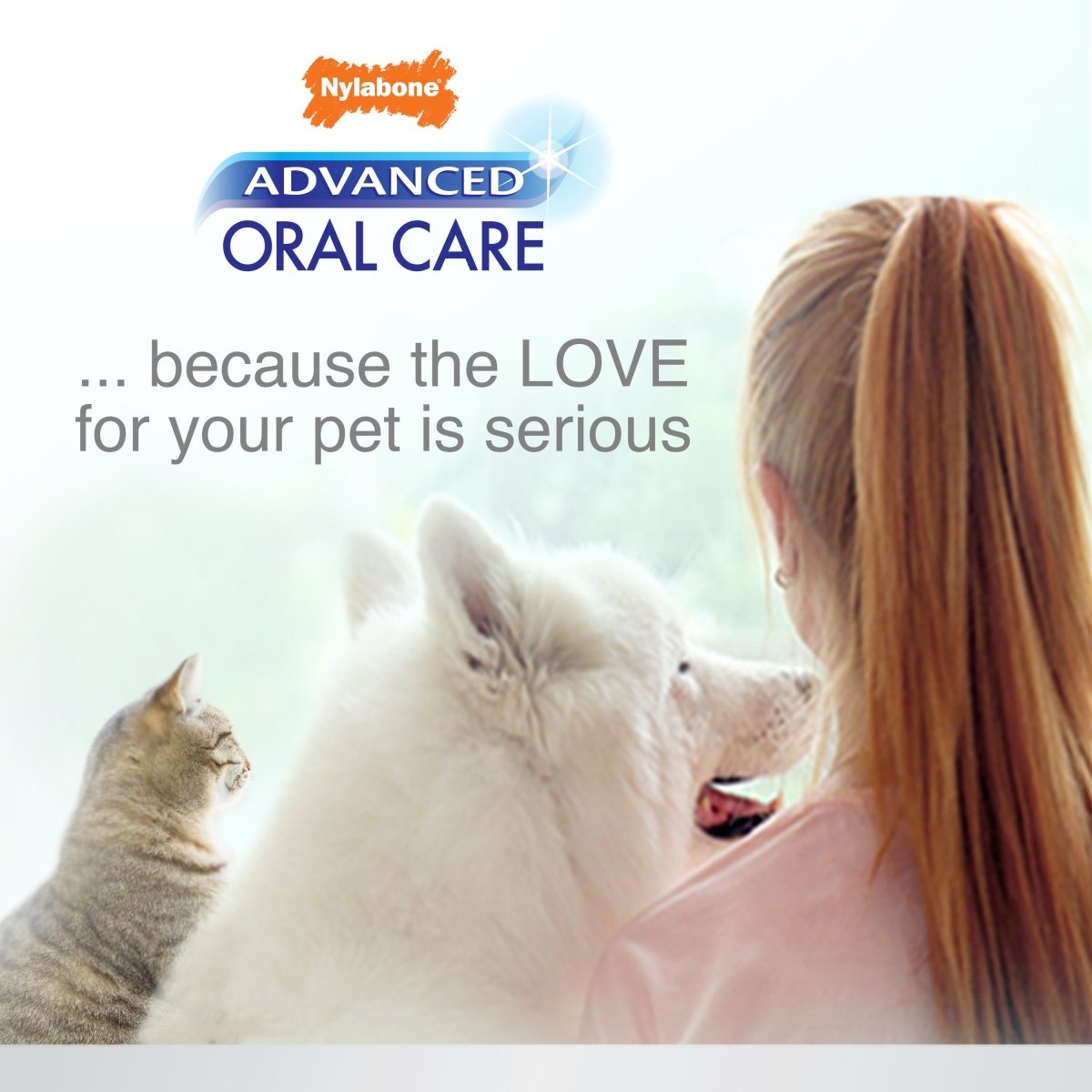 Nylabone Advanced Oral Care Cat Dental Kit Original, 1ea/2.5 oz 3 ct - Pets Perfect